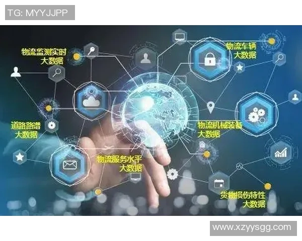 打造智能化快递物流网络提升效率与客户体验的创新路径探索