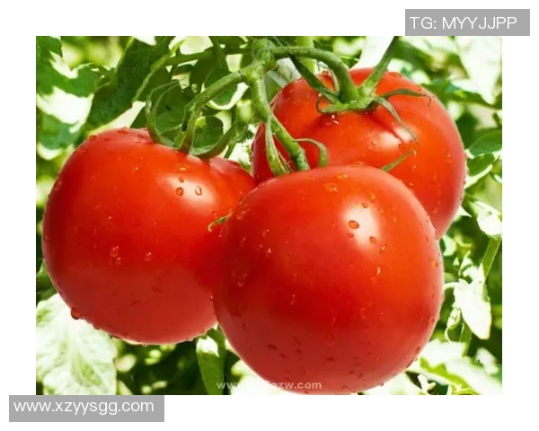 探索水果蔬菜的营养价值与健康功效，提升生活质量的自然之选