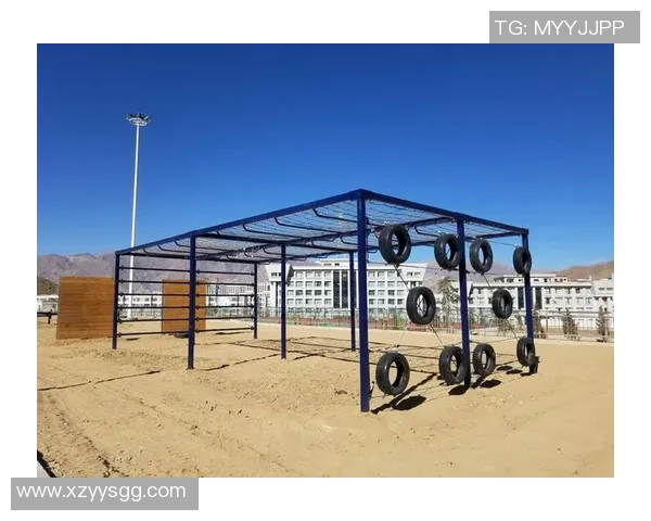 民航学校健身器材配置标准与学生体能训练要求