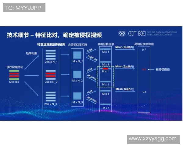 深圳极限运动队节奏表现分析与提升策略探讨